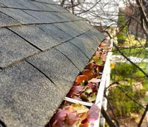 Brighton Gutter Cleaning - Gutter Cleaning Brighton, Hove & Sussex