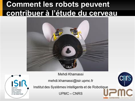 Comment Les Robots Peuvent Contribuer L Tude Du Cerveau Mehdi