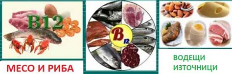 Витамин Б12. Референтни стойности pmol/l, pg/ml - Здраве.Орг