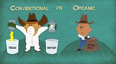 What is Organic - YouTube