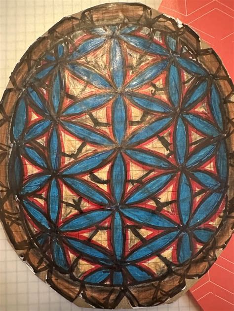 Turtle shell art : r/ArtCrit