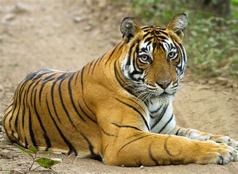 12 Best Places to Visit in Rajasthan 2025 | Tourist Places in Rajasthan