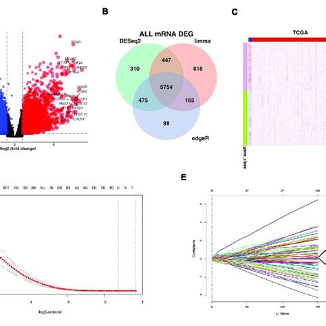 Differentially Expressed Mrnas Demrnas In Gbm Vs Normal Tissues