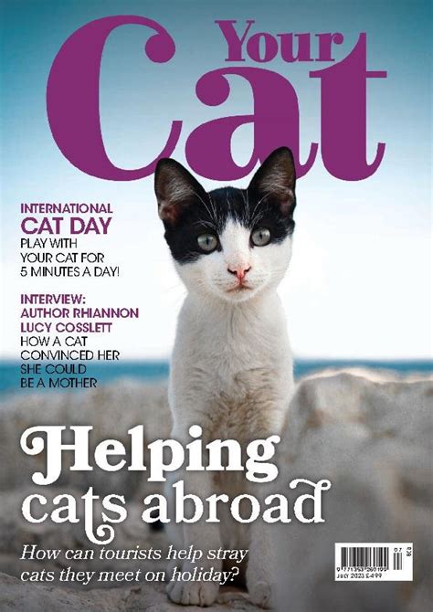 Your Cat July Digital Discountmags Australia