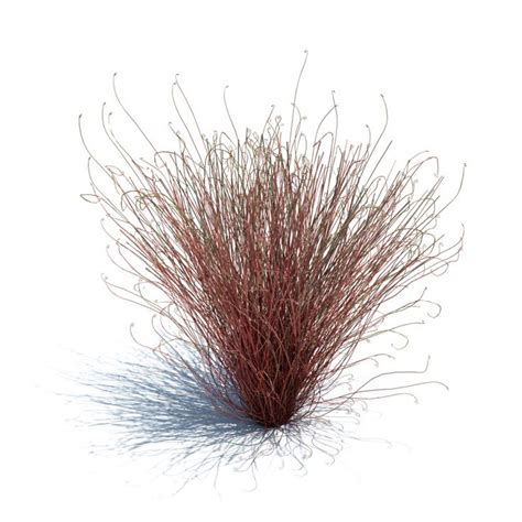 vol126_grass_101, 2024