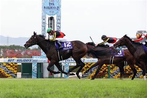 マイルチャンピオンシップ2024 過去10年の傾向データ｜g1特集｜競馬予想・競馬情報ならjra Van