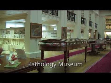 Surgeons Hall Museum Tour YouTube