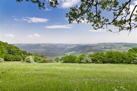 dont   belgian ardennes     type  scenery