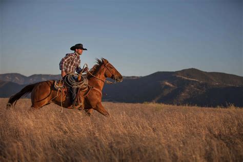 Stetson Grey Star 10x Straw Cowboy Hat Hatcountry Hatcountry