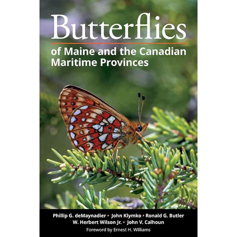 Butterflies of Maine and the Canadian Maritime Provinces (Paperback