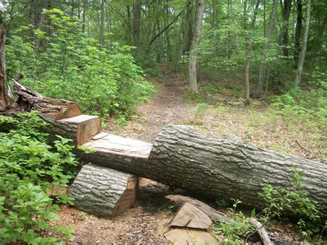 Log mountainbike obstacle | Logs, Mountainbike, Buiten spelen