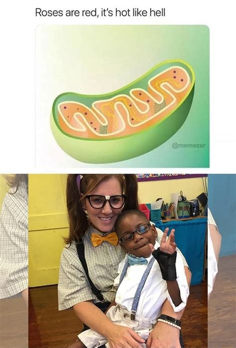 Roses Are Red Its Hot Like Hell IFunny