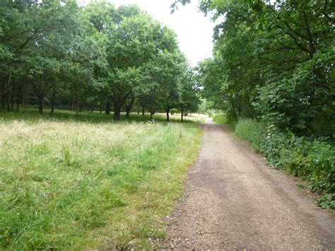 Monkey Hadley Common « The Anonymous Widower