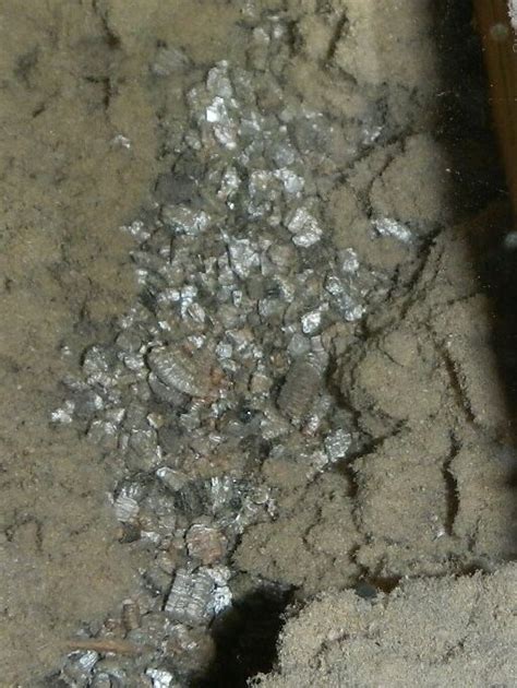 Vermiculite Insulation an Asbestos containing material in Reno?