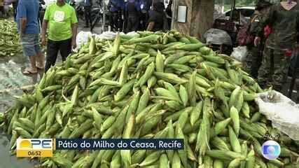 Começa hoje a temporada especial de milho no Ceasa Bom Dia PE G1