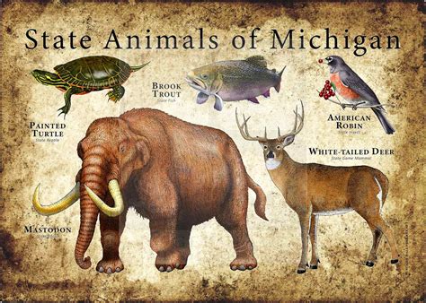 Michigan State Animals Poster Print Inkart