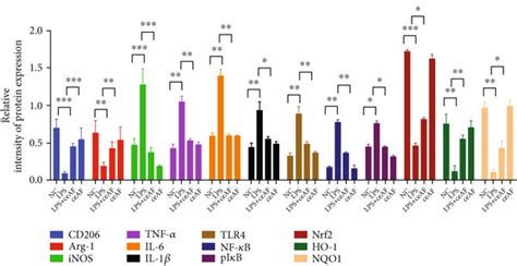 Ceaf Was Able To Suppress Inflammation And Oxidative Stress Via