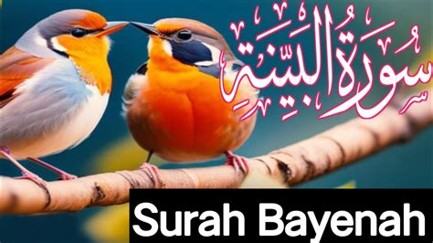 Surah Al Bayyinah By Surah Al Bayyinah YouTube