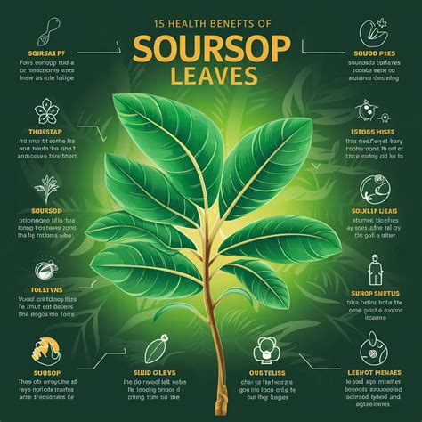 15 Incredible Health Benefits Of Soursop Leaves You Need To Know