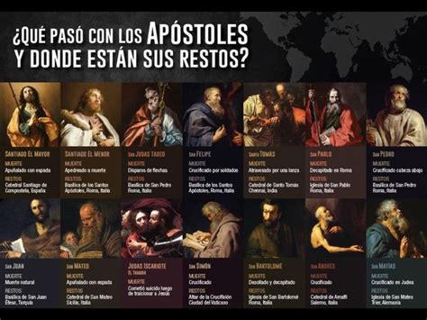 La Vida De Los 12 Apóstoles Apóstoles De Jesús Apostoles Biblia Cristiana