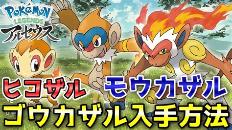 【アルセウス】ヒコザル・モウカザル・ゴウカザル入手方法！オヤブンは戦わずに捕獲します！【ポケモン レジェンズ】 - Pokémon Charts