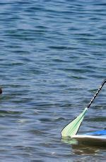 AVA SAMBORA In Bikini Paddle Boarding In Hawaii HawtCelebs