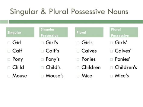 Singular And Possessive Nouns