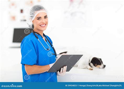 Vet Doctor Stock Photos Image 29924823