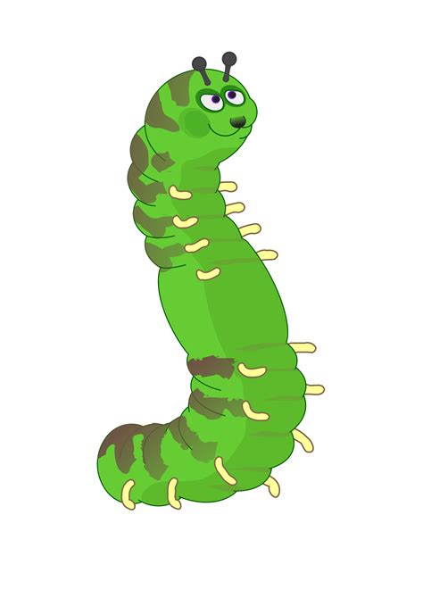 Caterpillar Butterfly Clip Art Cartoon Caterpillar Png Download