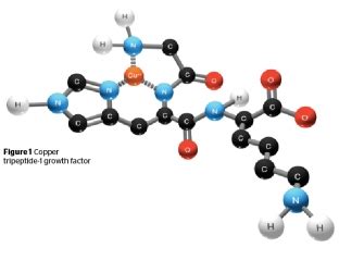 Фактор роста трипептид меди-1: функции, действие и применение в ...