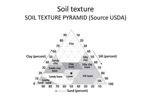 Soil From Texture To Structure To Sustainability Ppt Download