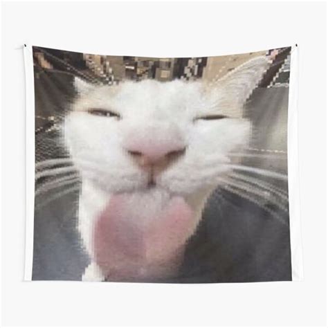 Funni Cat Tapestry For Sale By Spedbop2k Redbubble