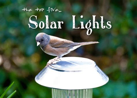 Five Best Solar Powered Garden Lights for 2017: Our Reviews and Ratings ...