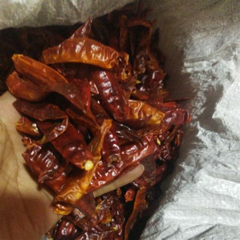 jual cabe kering caplak kg shopee indonesia