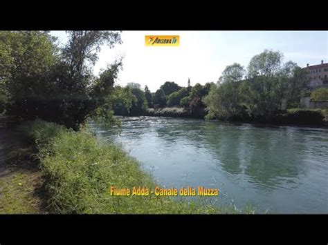 ITINERARI DI PESCA SPORTIVA FIUME ADDA CANALE MUZZA CASSANO D