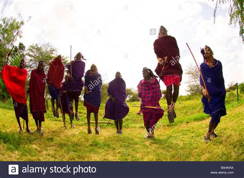 maasai warriors dancing jumping kenya high resolution stock photography