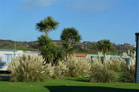 The Cliff Caravan Park And The Willows Anglesey Caravan Parks