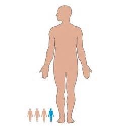 Naked Standing Man Royalty Free Vector Image VectorStock