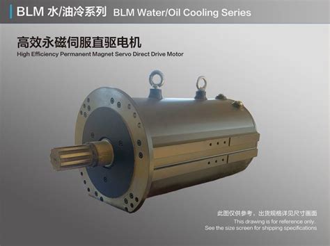 Blm Water Oil Cooling High Efficiency Permanent Magnet Servo Direct