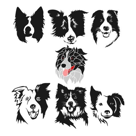 Border Collie Cuttable Design Border Collie Art Dog Drawing Dog Tattoos