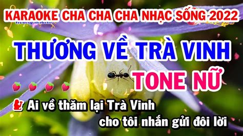 Karaoke Nh C S Ng Th Ng V Tr Vinh Tone N Rumba Hay