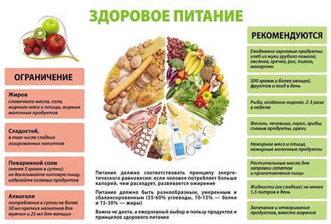 Правильное питание меню и как его составить