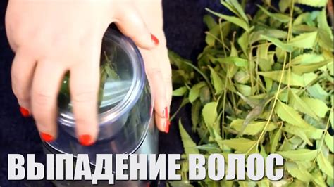 Народное средство от выпадения волос и облысения ️Всего 2 ингредиента ...