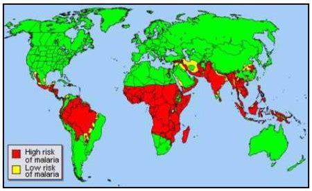 Chloroquine Resistance in Plasmodium falciparum - microbewiki