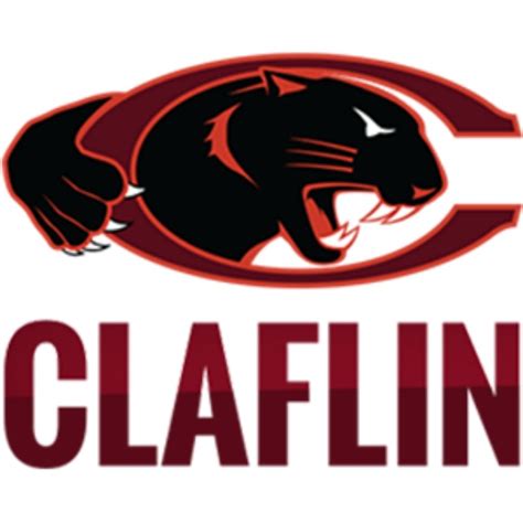 Women S Hoopdirt Head Women S Basketball Coach Claflin University