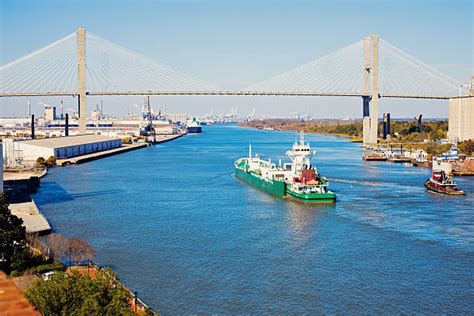 290 Savannah Bridge Stock Photos Pictures And Royalty Free Images Istock