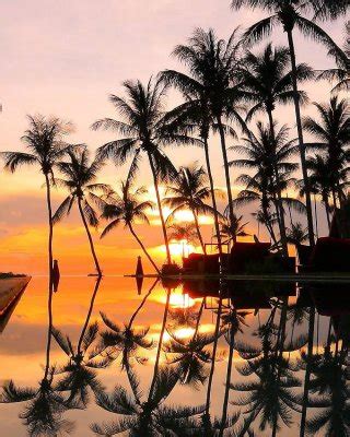 Belle Spiagge Seguiranno Quelle In Topless Porn Pictures XXX Photos Sex Images 1730111 PICTOA