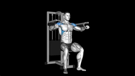 Seated Lateral Raise How To Video Alternatives More