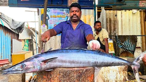 Kasimedu Speed Selvam Big Size Ara Kola Fish Cutting Video In