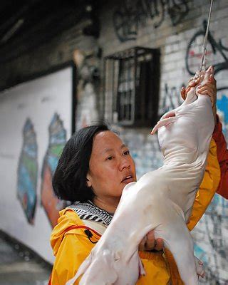 Hucow Schwein Sex Gifs Porn XXX GIFs PICTOA